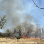 Incendiu în parcul IOR
