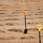 Primele plantări din viitoarea Centură Verde București-Ilfov. Foto: Guvernul României