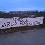 defrişarea parcului IOR