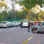 Poliţia Rutieră a solicitat Primăriei Sectorului 3 delimitarea spaţiului pietoni/maşini