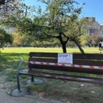 REPORTAJ | „De bello unionis”. Cum arată „frontul” Unirii, după lupta primarilor