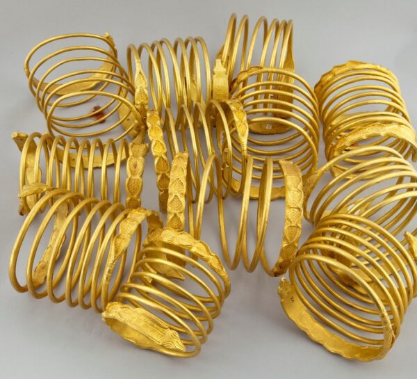 Expoziția din Olanda