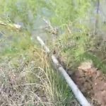 50 de milioane € pentru rețeaua de apă din patru zone ale Capitalei. Printre acestea și Cartierul „Henri Coandă”, cu apele menajere, „mufate” la Balta Pipera