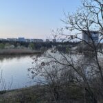 Coridorul Verde Colentina. FOTO: Lacul Tei, via oar.archi