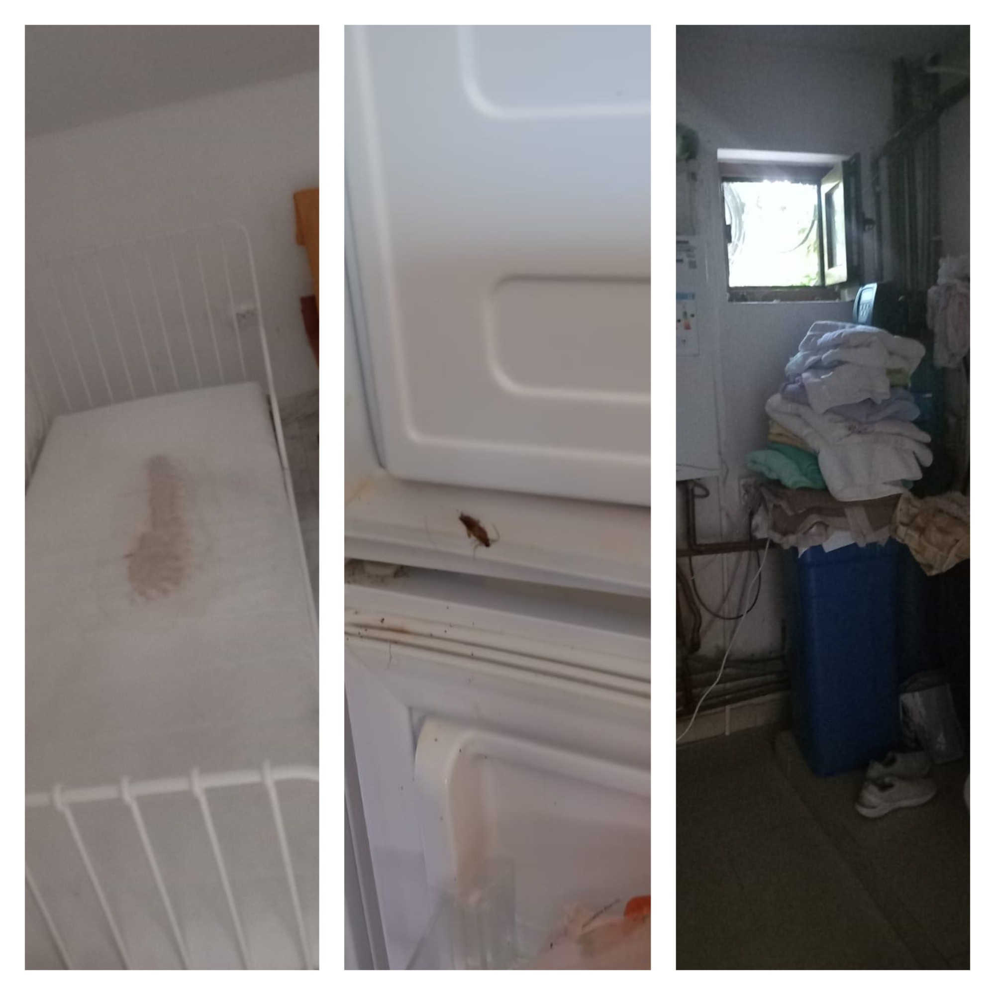 Cămin de bătrâni din Siliştea Snagov, închis de ANPC. Comisarii au găsit mizerie, mâncare expirată şi acte lipsă