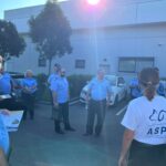 Puţini câini sterilizaţi