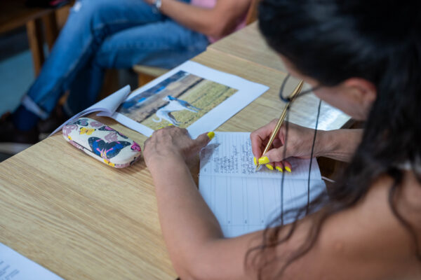Reguli de acces în autobuze, pentru câini