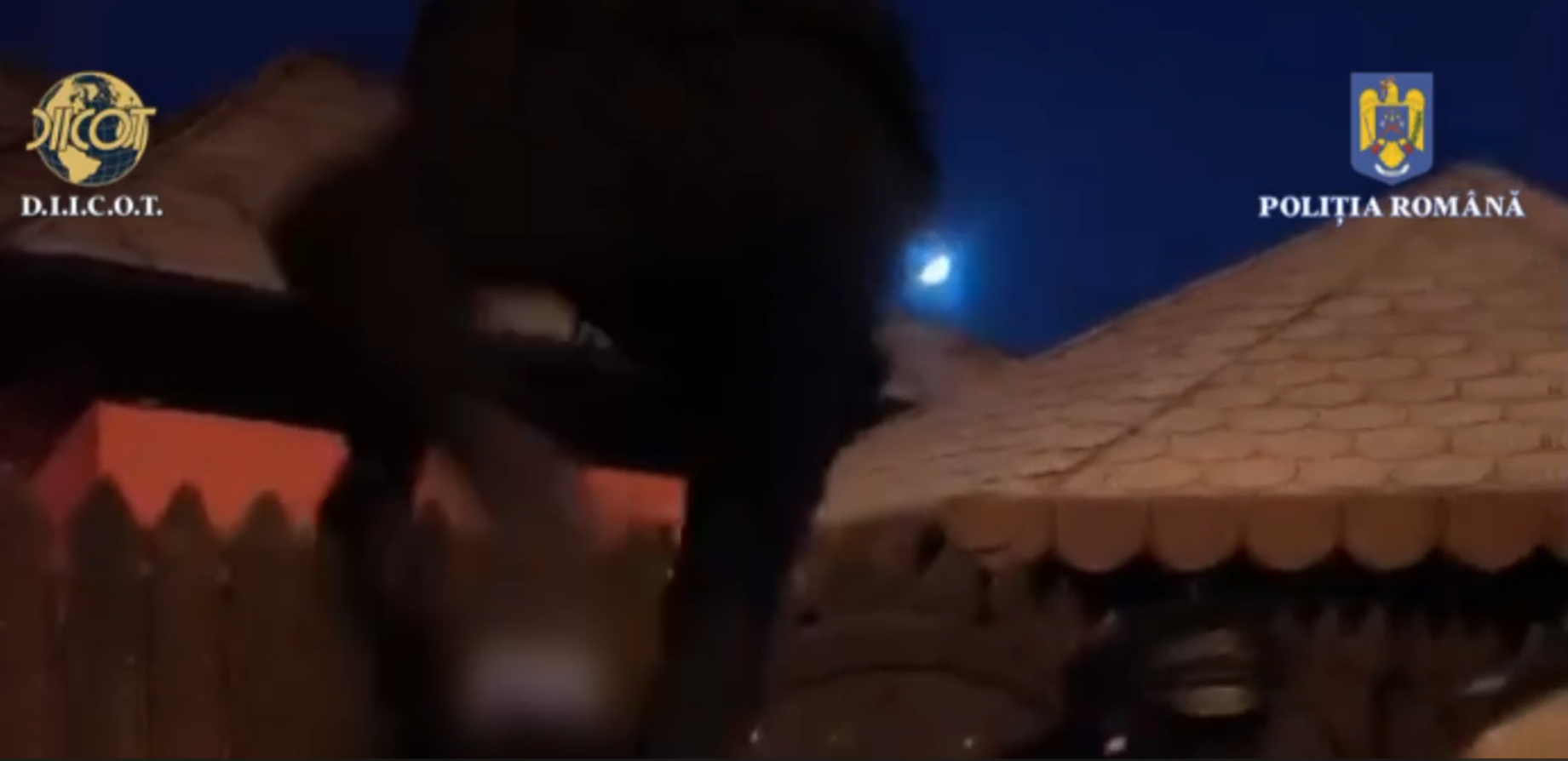 VIDEO | 95 de percheziţii în Bucureşti, Ilfov şi alte 11 judeţe. Vizată, o reţea care falsifica permise şi cărţi de identitate