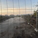 În locul arborilor au fost plantate garduri în zona retrocedată a Parcului IOR