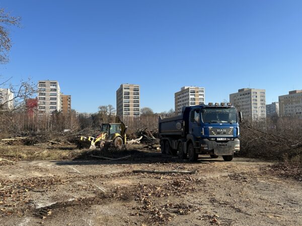 Administratorul terenului a încercat să scoată lemnul tăiat