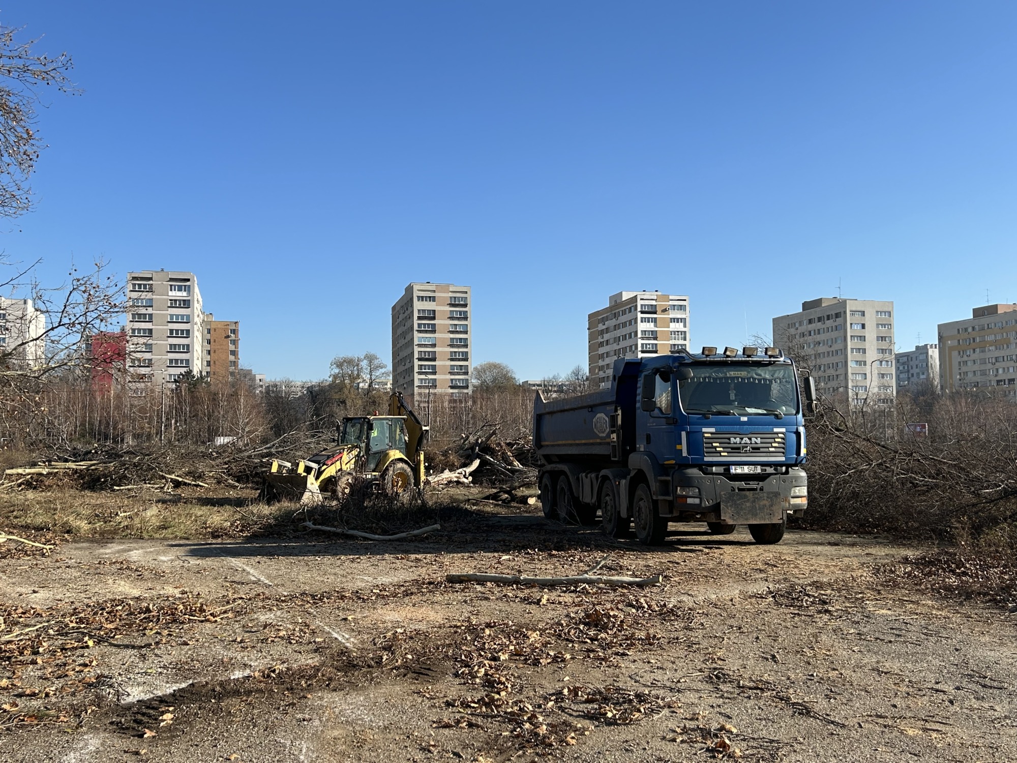 VIDEO | Scandalul din IOR continuă. Administratorul terenului a încercat să scoată lemnul tăiat. A intervenit poliția