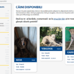 Catalog online cu cățeii din adăposturile Bragadiru și Mihăilești FOTO: Captură de ecran/ ASPA București