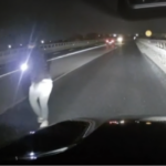 O nouă metodă de jaf pe Centura Bucureștiului. Captură Știrile Pro Tv