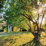 a bicycle parked in a park