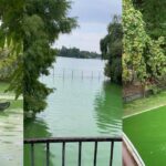 De unde vine mirosul groaznic de la Muzeul Satului din București. Foto Garda de Mediu