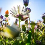 METEO | Vremea se încălzește, în weekend. Duminică, temperatura maximă ajunge la 27 de grade. FOTO: Arhiva