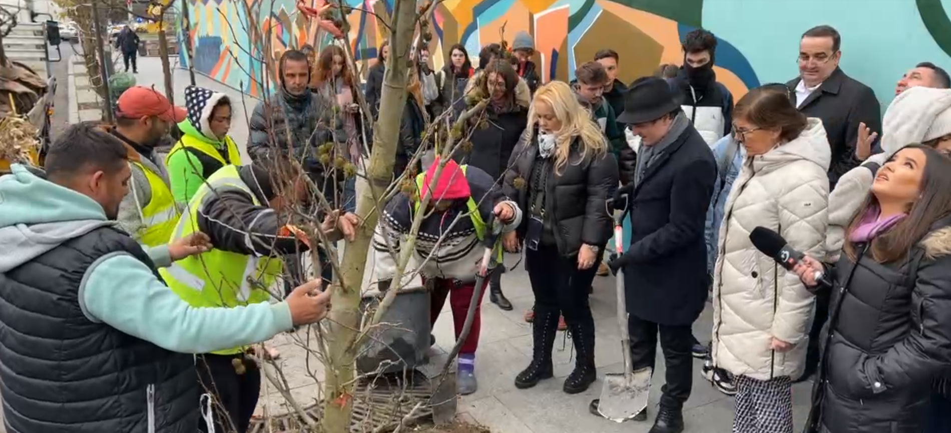 De la stiloul de primar, la lopată. Nicuşor Dan a plantat un copac pe Magheru, dintr-un lot de 280 de arbori „rezistenţi la poluare”