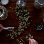 person holding paper on kush