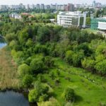 Încă o arie protejată în București. Foto: Alex Busuioceanu