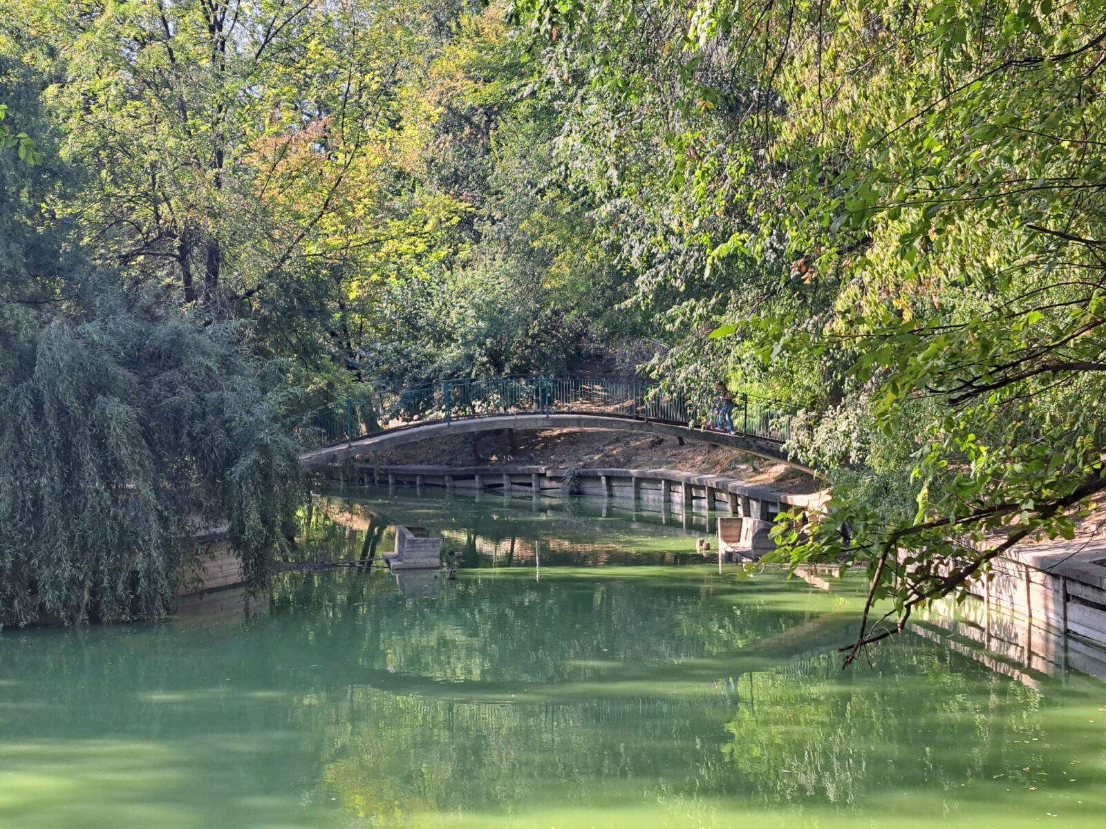 Peste 12 milioane euro pentru reamenajarea Parcului Național. Primăria vrea să obțină finanțare nerambursabilă. Foto: FB/ Parcul Național