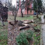 Parcul Brâncuși ar putea avea soarta IOR