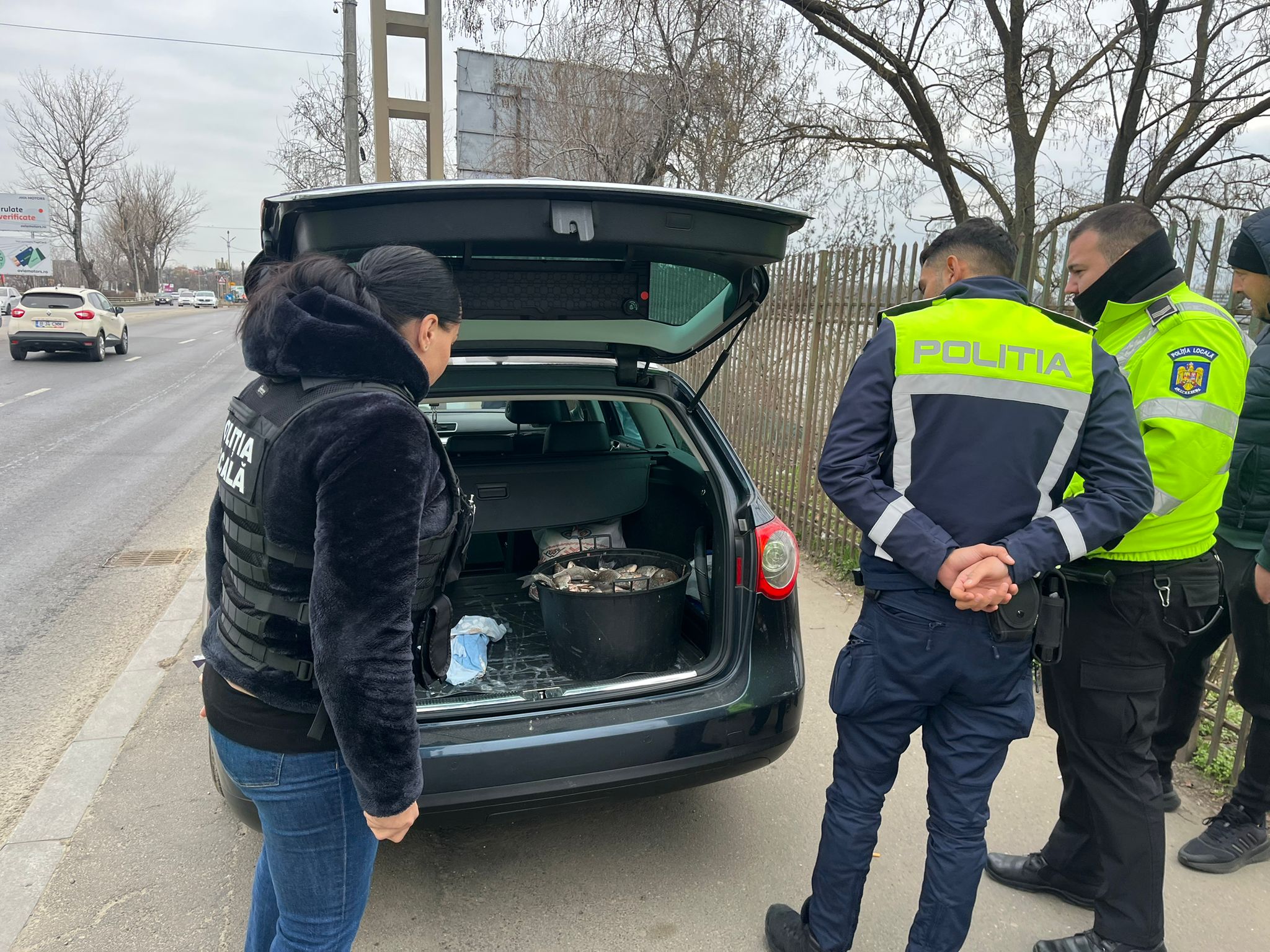 Polițiștii locali din sectoarele Bucureștiului au salvat 60 de kilograme de pește