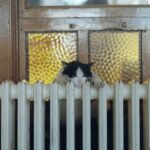 Bucureștiul va fi încălzit cu apă termală. Foto Pexels.com