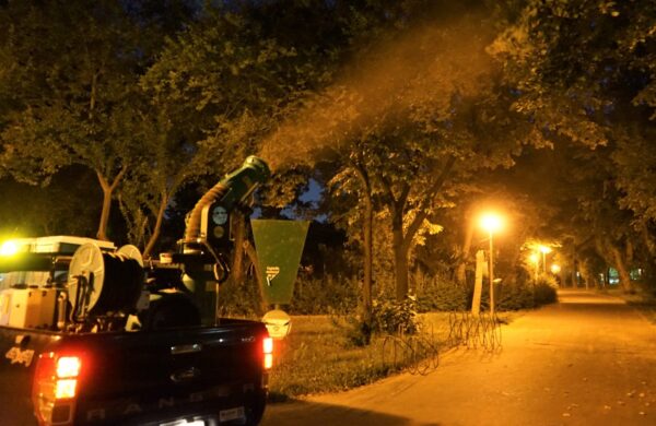 combatere a țânțarilor între 28 și 30 iulie