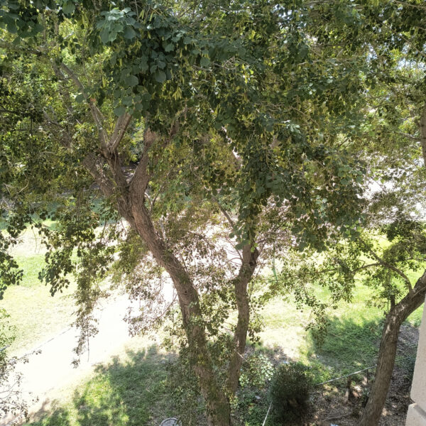 METEO | Vremea se menține călduroasă, în weekend. Temperatura maximă ajunge la 32... 33 de grade. FOTO: Arhiva