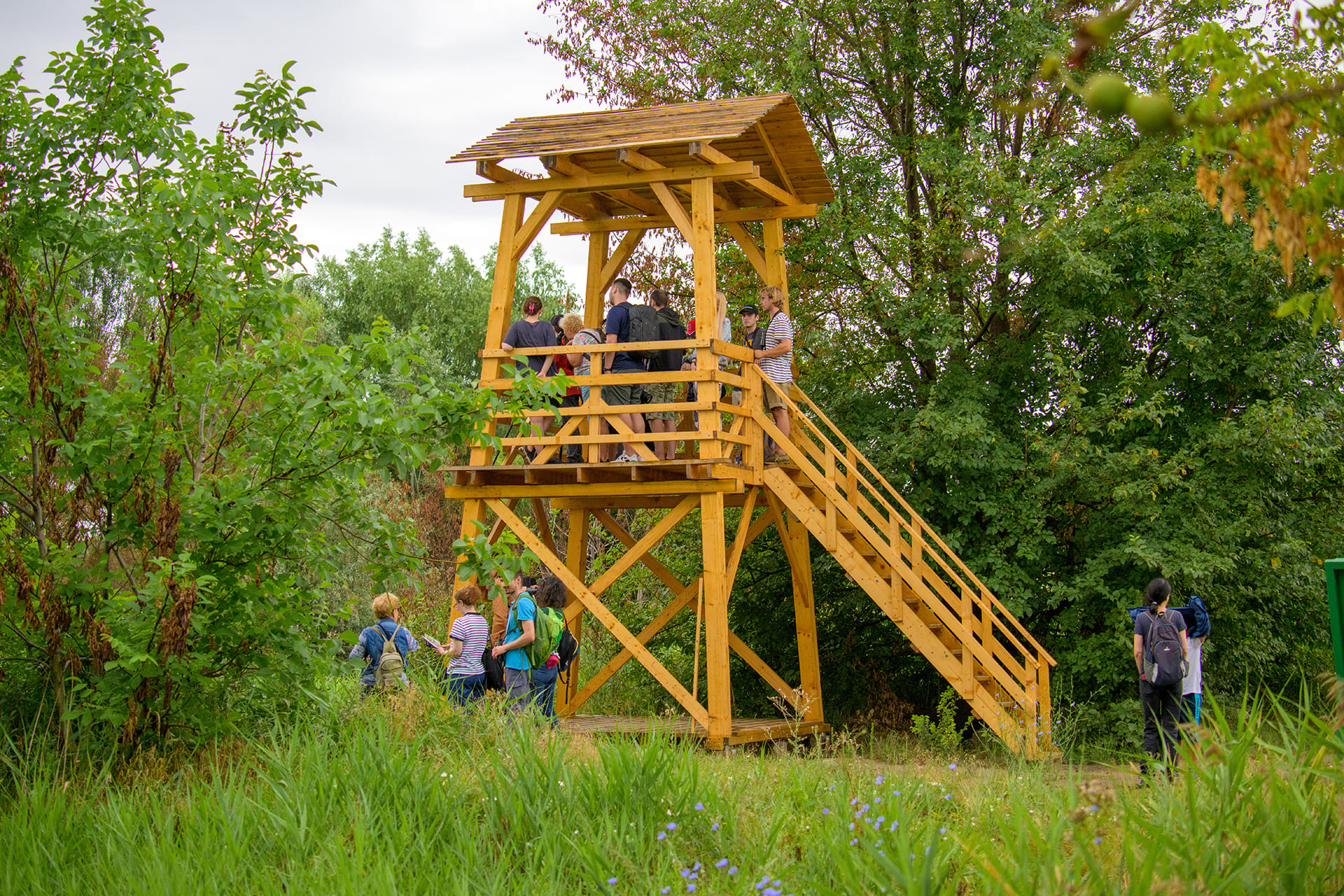 Evenimente în aer liber, în week-end, în Parcul Natural Văcărești 