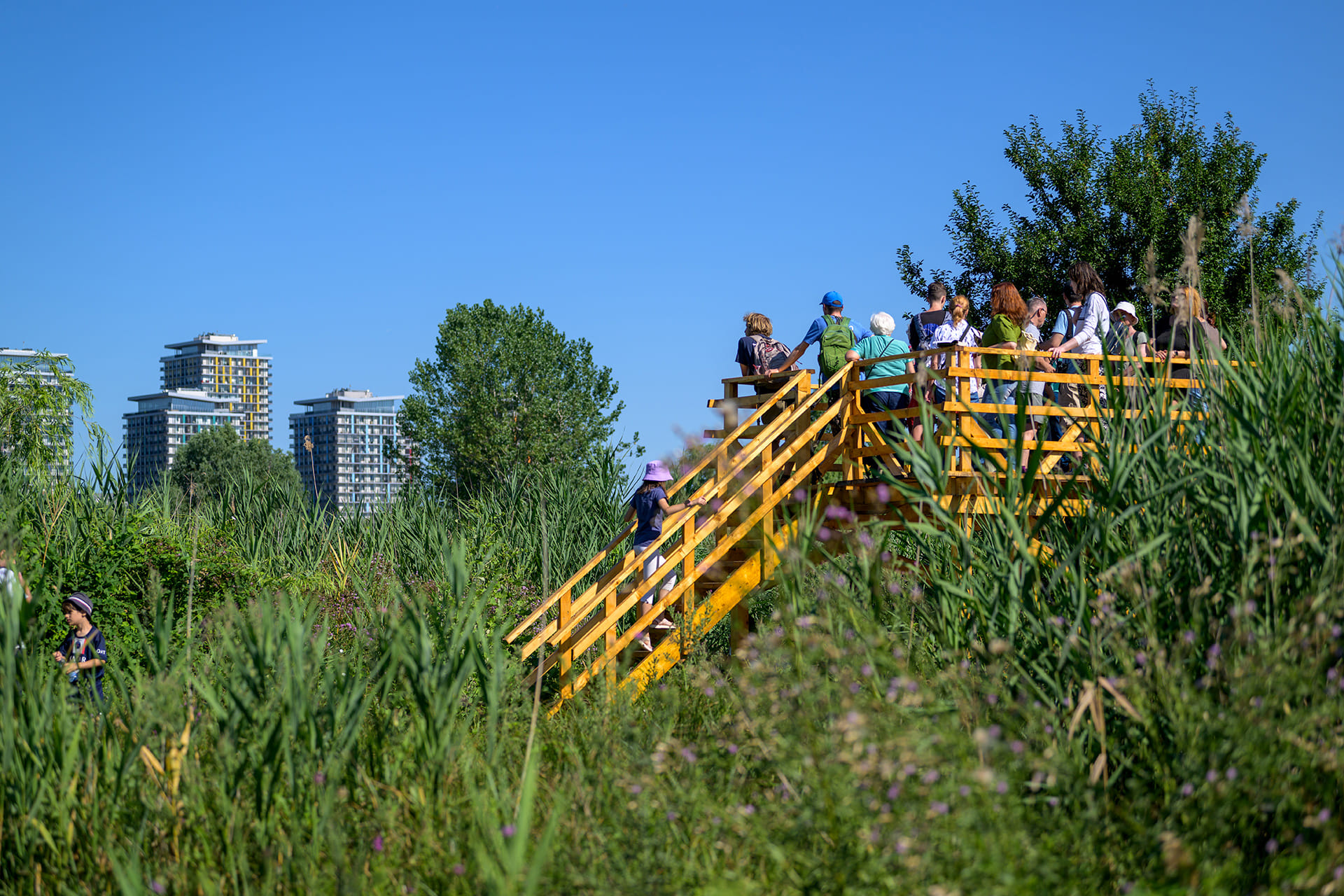 „Vara Verde” în acest weekend, în Parcul Văcărești 