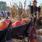 Festivalul de Halloween din Sectorul 6 nu va mai avea loc pe Insula Lacul Morii în 2025. Bilanțul ediției din acest an. Foto: PS6