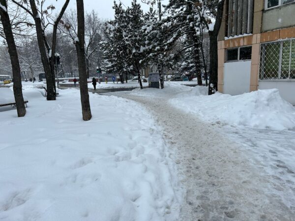 Bani pentru salubrizare și deszăpezire, în 2024. Sursa. Primpăria Generală