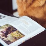 Materie despre animale